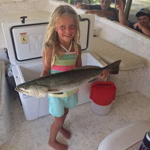 Meet your Posher, Kim